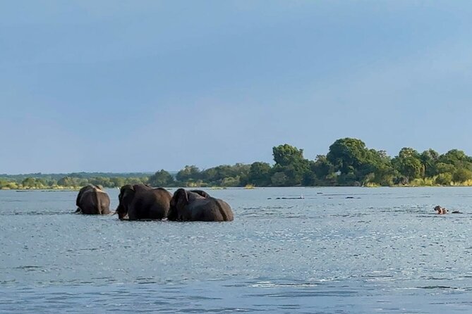 Sunset Cruises on the Zambezi River from Victoria Falls - Who This Sunset Cruise Fits Best, and Who Might Want Another Option