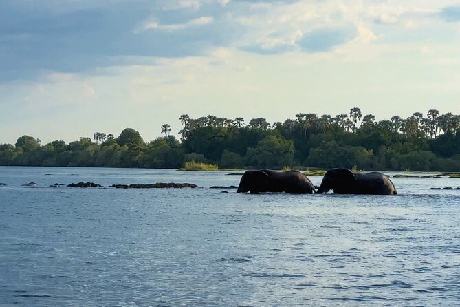 Sunset Cruises on the Zambezi River from Victoria Falls - Should You Book This Zambezi Sunset Cruise from Victoria Falls?