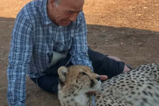 The Cheetah Experience - Key things to know before you go