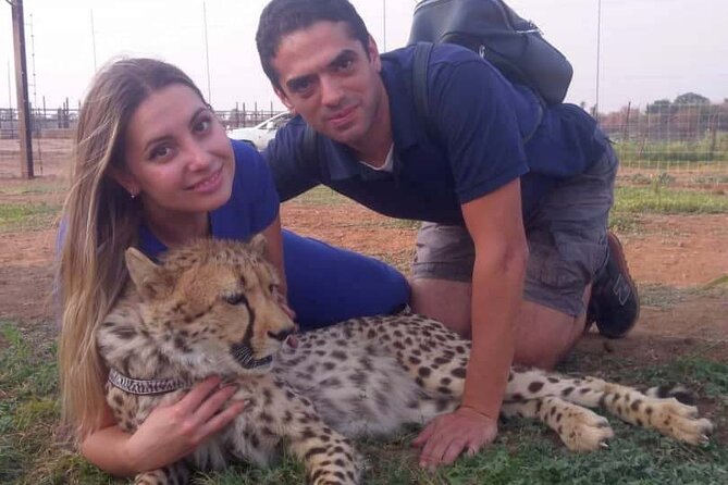 The Cheetah Experience - What You Learn From the Guide During the Encounter