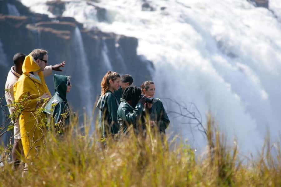 Ultimate Falls Experience - Tour, Abseil, Swim & Hike - Key highlights you will remember