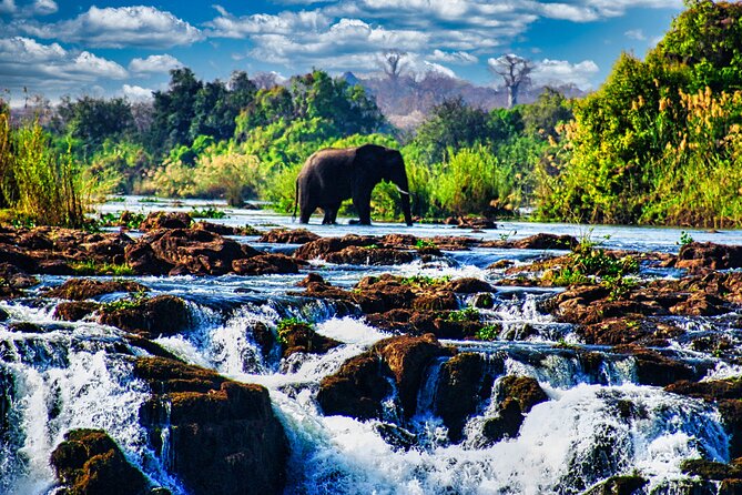 Unique Safari Game Drives in Zambezi National Park, 4 Options - Zambezi National Park Is Close Enough for a Proper Safari Day