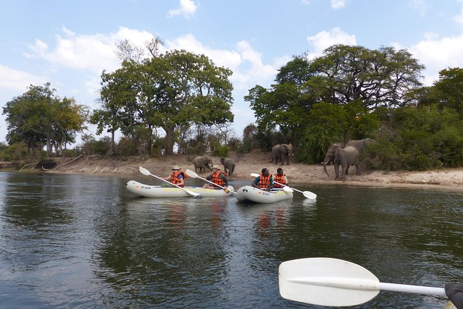Upper Zambezi Canoeing - Key Points to Know Before You Go