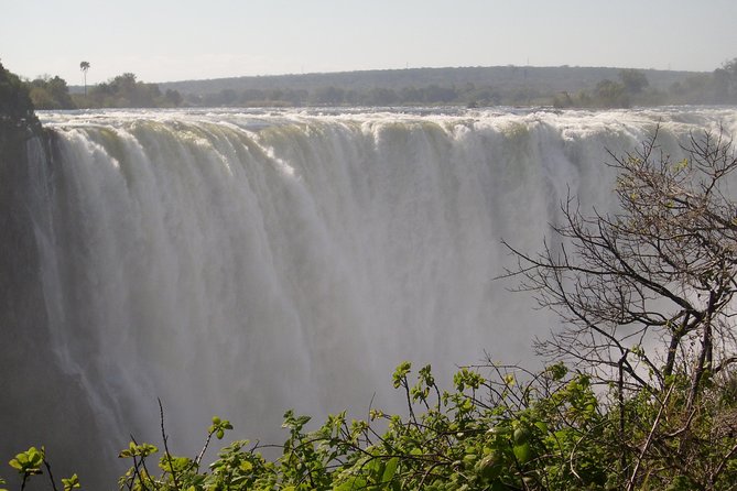Victoria Falls And Chobe - Should you book this Victoria Falls and Chobe tour?