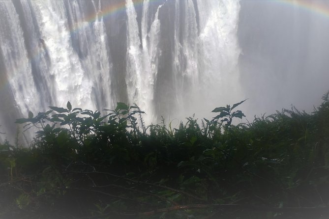 Victoria Falls And Chobe - Meet the Guides: why Fungayi and Innocent matter