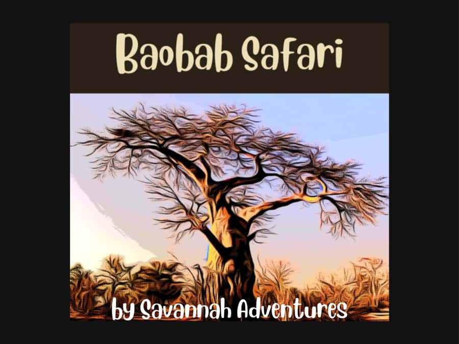 Victoria Falls: Baobab Safari - Sunrise and Mid Morning - Key things I’d plan around