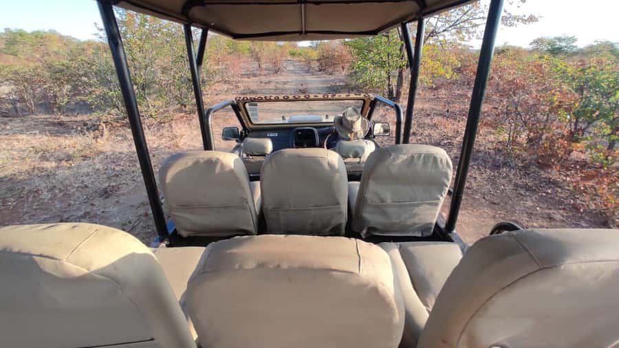 Victoria Falls: Baobab Safari - Sunrise and Mid Morning - Price and value: what $75 gets you in real terms