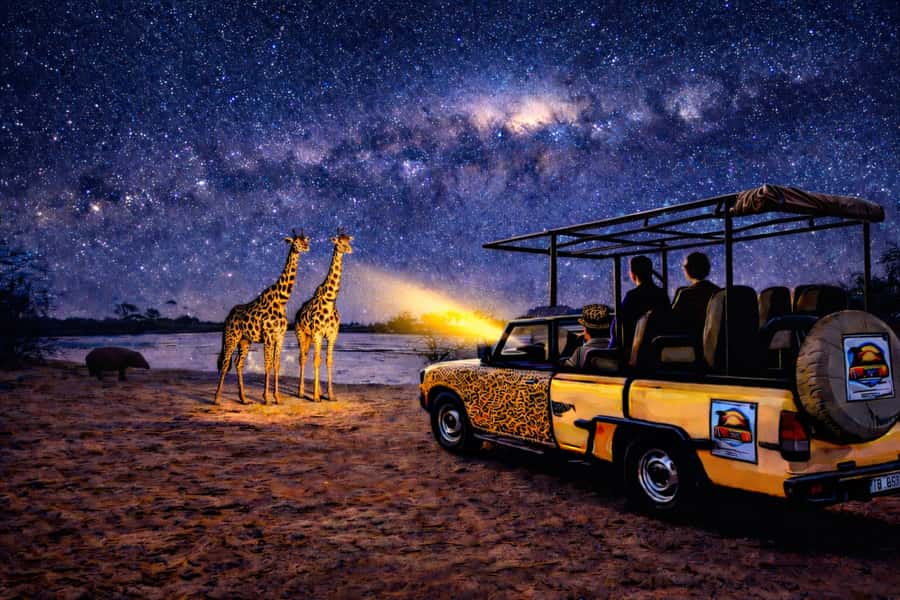 Victoria Falls: Bush Experience and Stargazing D-F-ES-GB - Key highlights that make this tour worth your night