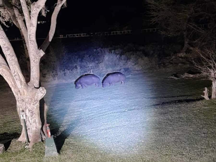 Victoria Falls: Bush Experience and Stargazing D-F-ES-GB - What the 2 hours feel like, and how to time it right