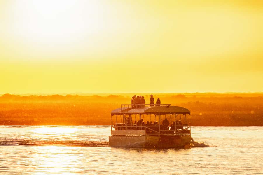 Victoria Falls: Chobe National Park Day Trip with Lunch - Afternoon Open 4x4 Game Drive: Chasing the Big Five on Your Own Terms