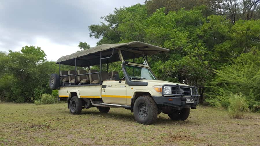 Victoria Falls: Chobe National Park Day Trip with Lunch - Should You Book Dream Africa Vacations for Chobe From Victoria Falls?