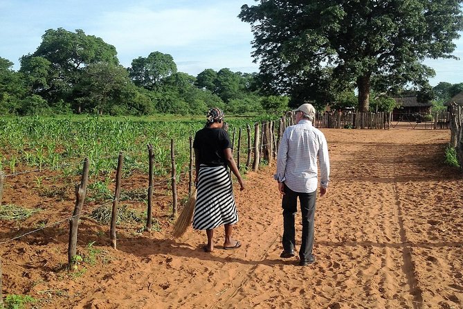 Victoria Falls Cultural Private Village Tour - Pickup, air-conditioned minivan, and the “private” feel