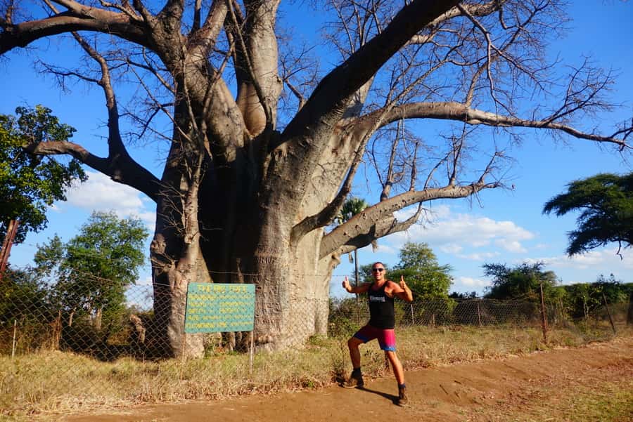Victoria Falls: Cultural Tour with High Tea - What’s included for your $150, and where the extra costs hide