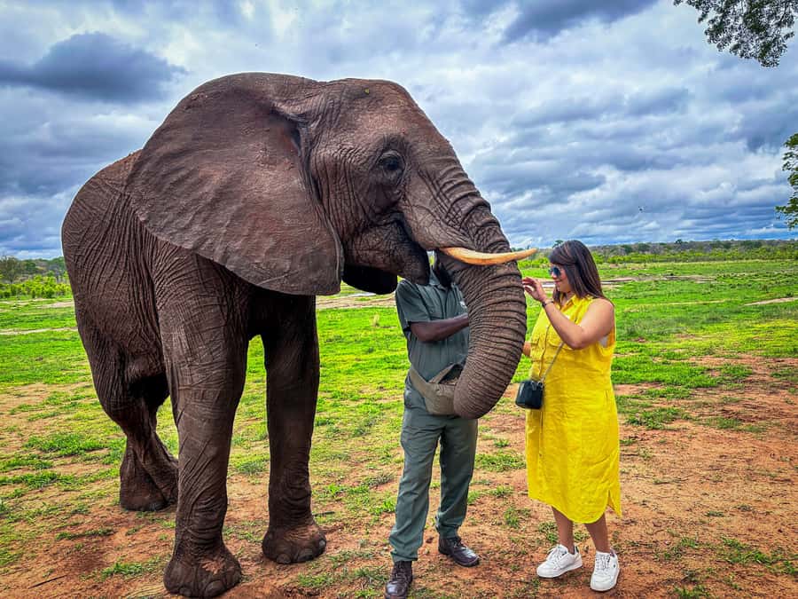 Victoria Falls: Elecrew Through The Eyes Of An Elephant - Getting There and Getting Oriented: Short Ride, Clear Safety