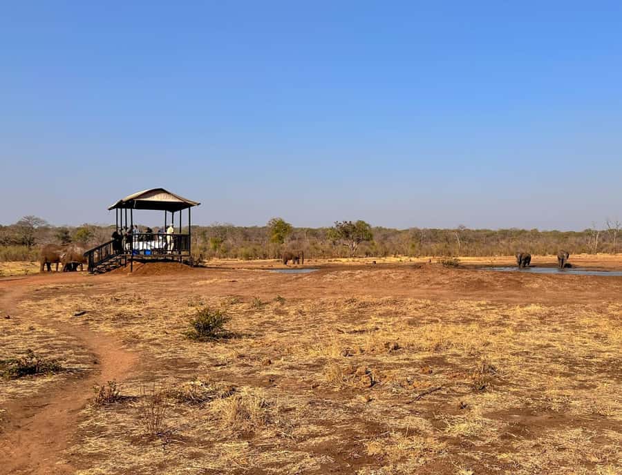 Victoria Falls: Elecrew Through The Eyes Of An Elephant - Jafuta Lodge Stop: The Calm Start That Sets Expectations