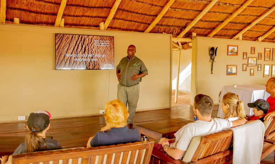 Victoria Falls: Elecrew Through The Eyes Of An Elephant - The Victoria Falls Area Context: Elephants Are Part of Daily Life Here