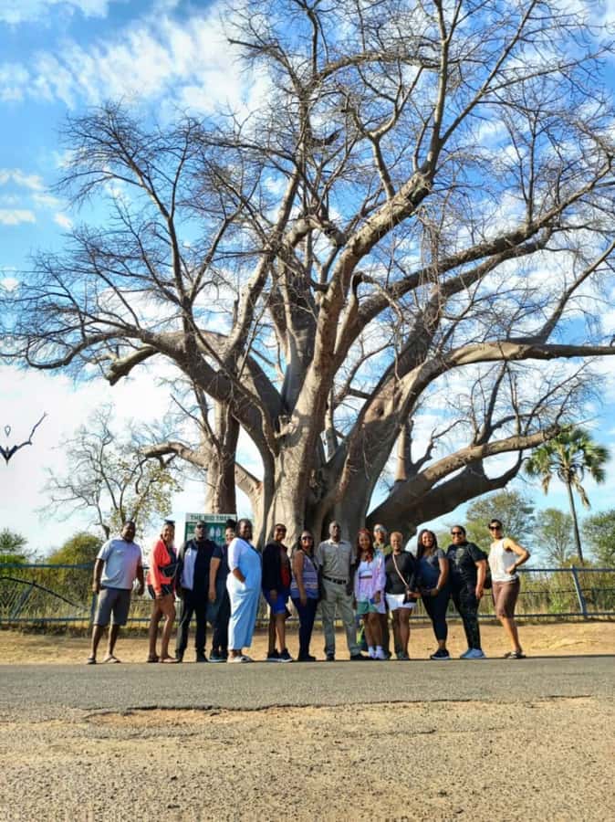 Victoria Falls Full Day Experience - Bridge time: how the tour uses the Zimbabwe-Zambia link (and why lunch breaks help)