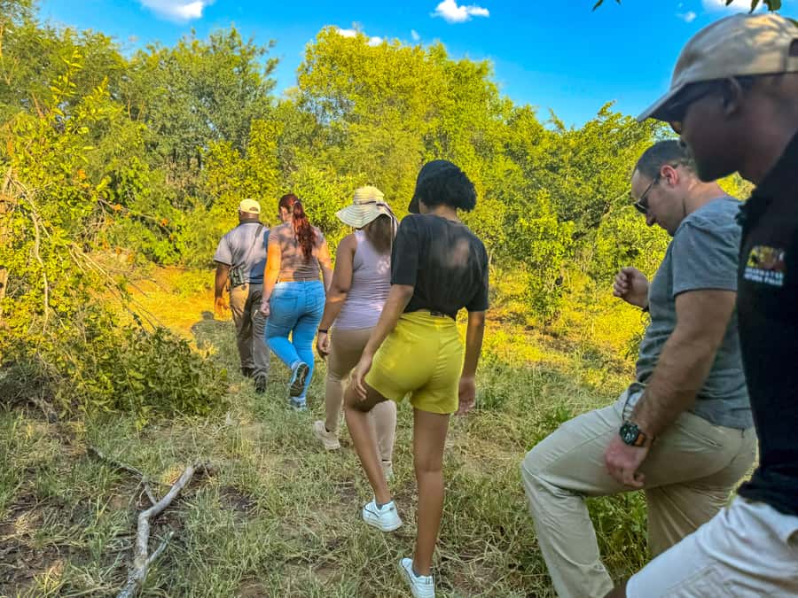 Victoria Falls: Game Walk in the Zambezi National Park - Key Things You’ll Notice on This Zambezi Walking Safari