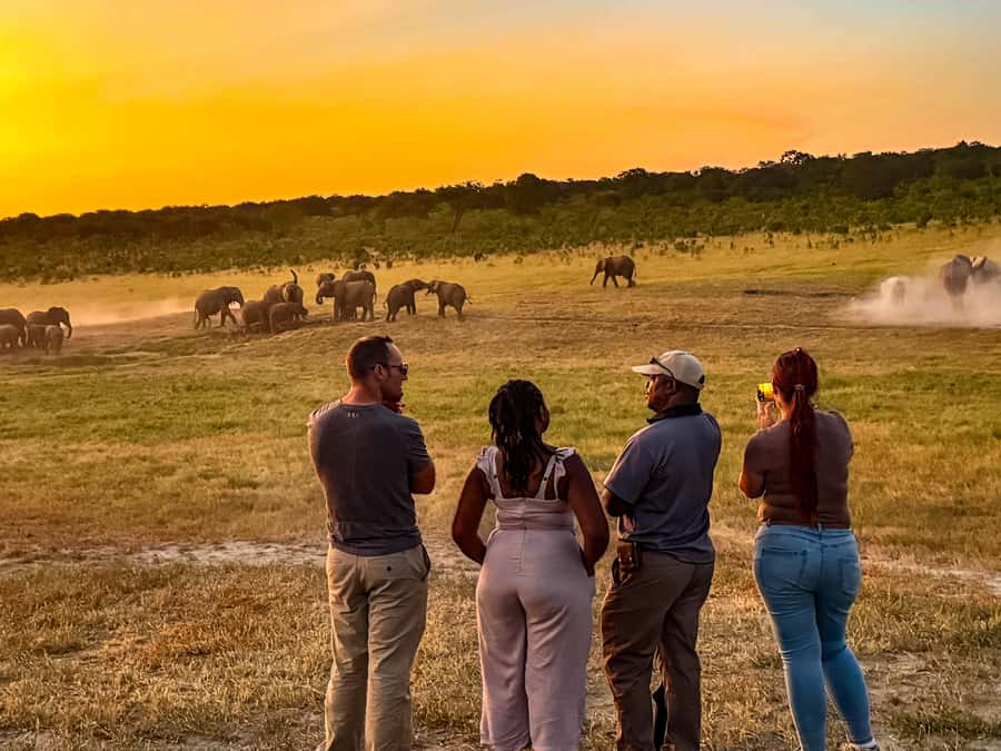 Victoria Falls: Game Walk in the Zambezi National Park - Morning Safari Magic: Sunrise, Chilly Mornings, and What You Eat