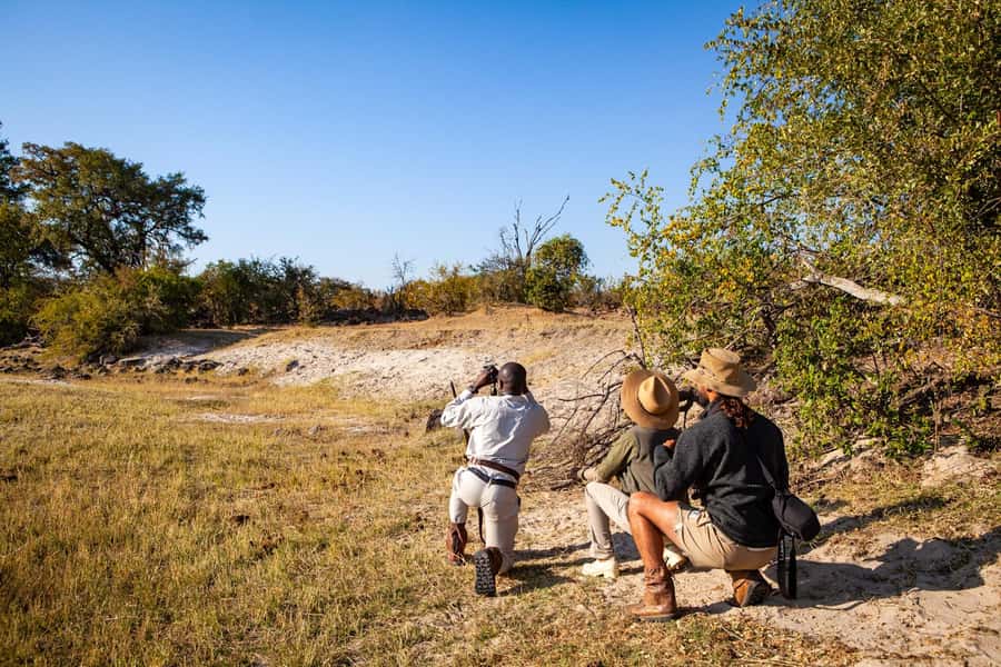 Victoria Falls: Game Walk in the Zambezi National Park - Price and Value: Is This $132 Ticket Worth It?