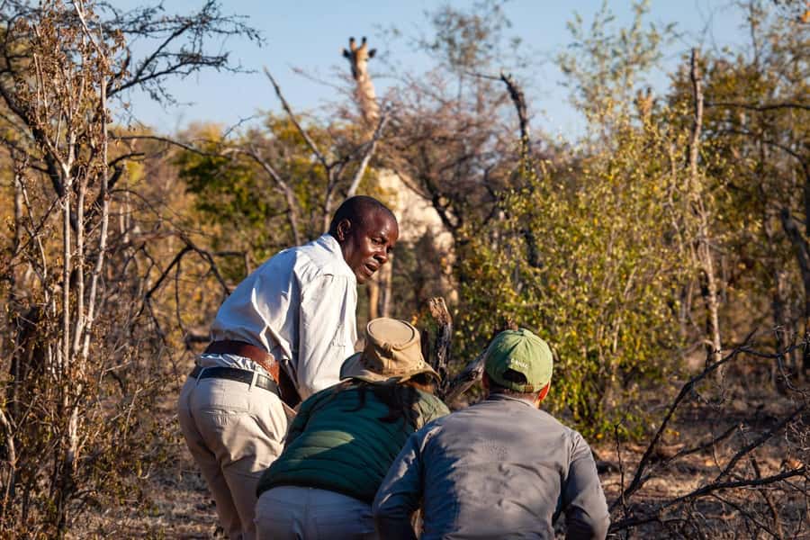 Victoria Falls: Game Walk in the Zambezi National Park - The 3-Hour Timing: What the Flow Feels Like From Victoria Falls