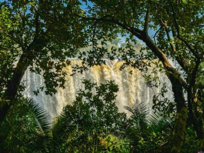 Guided Tour of the Victoria Falls