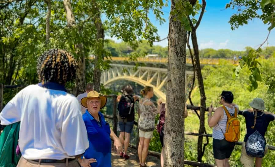 Victoria Falls: Guided Tour of the Victoria Falls - Wildlife and plant life: what to watch for on the walk