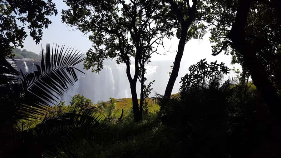Victoria Falls: Guided Walking Tour - Victoria Falls on foot, with the right kind of guide