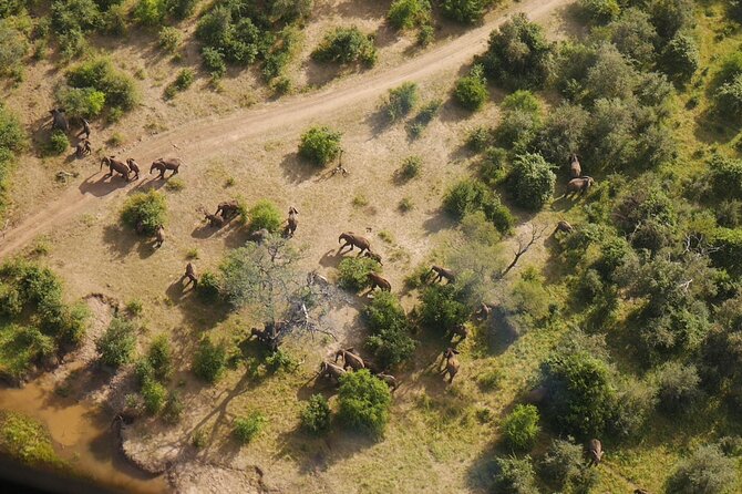Victoria Falls Helicopter Tour - Timing: how long it really takes from pickup to drop-off