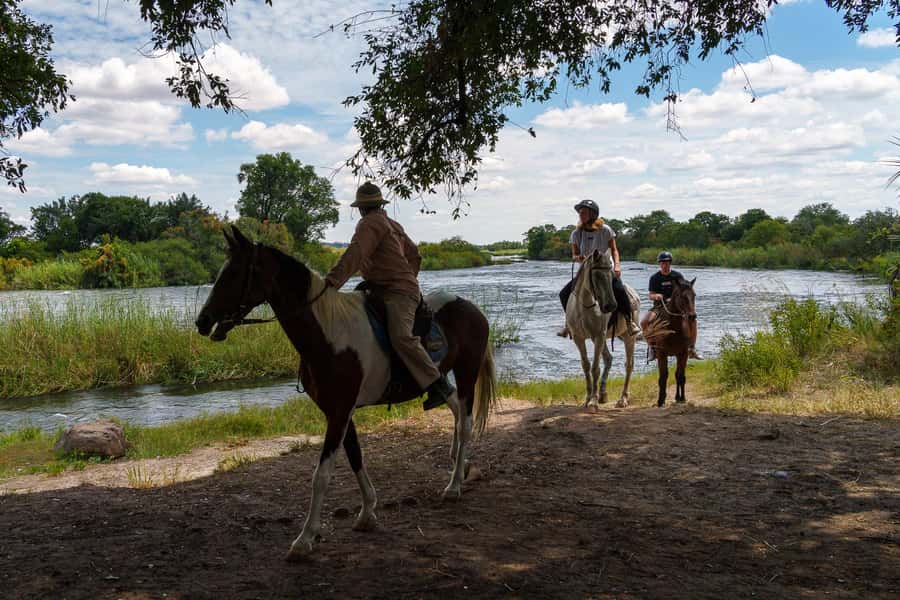 Victoria Falls National Park: Horseback Safari - Key highlights worth planning around