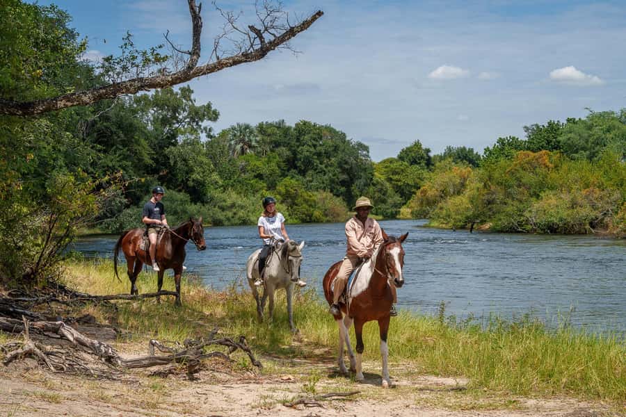 Victoria Falls National Park: Horseback Safari - Victoria Falls National Park on horseback, the real difference