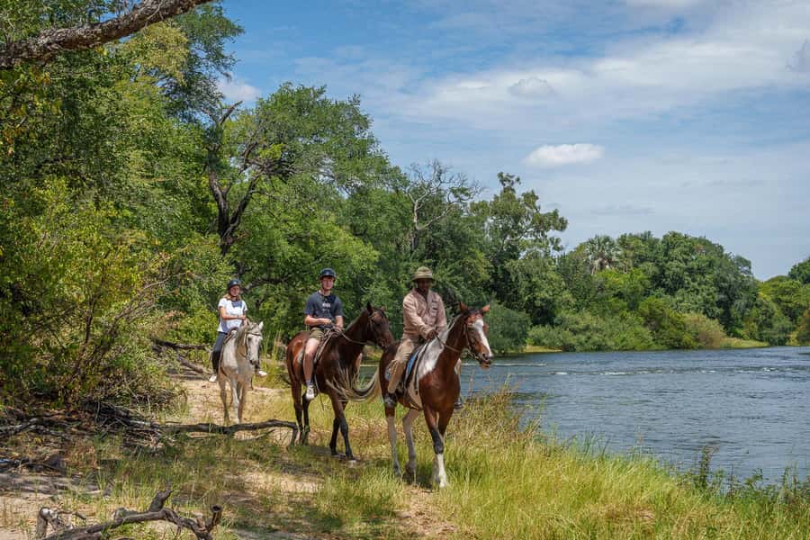 Victoria Falls National Park: Horseback Safari - Lunch back at the stables: why it is a smart finish