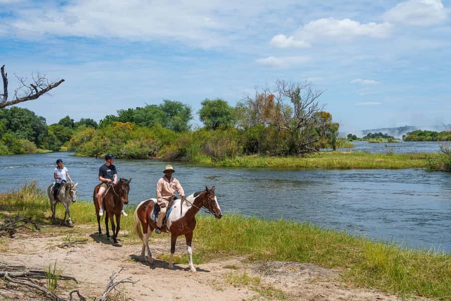 Victoria Falls National Park: Horseback Safari - Who this horseback safari suits best