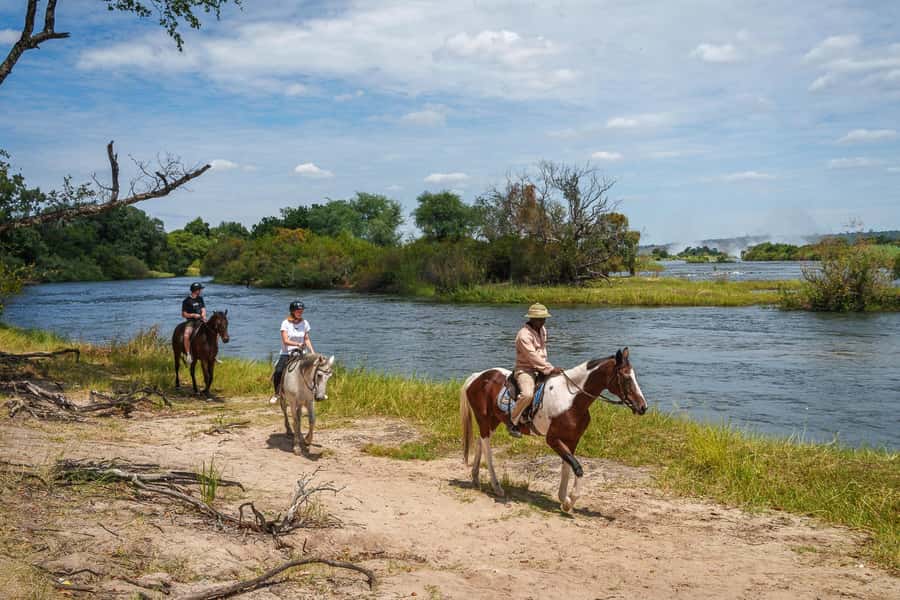 Victoria Falls National Park: Horseback Safari - Where you meet and how the day flows in a 4-hour window