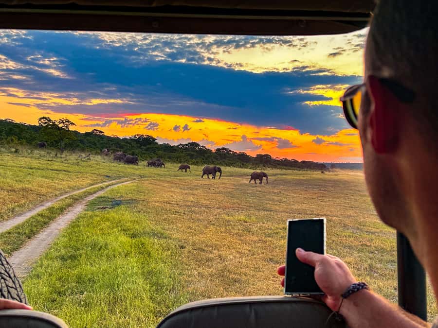 Victoria Falls: Night Game Drive Zambezi National Park - How the red spotlights help you find nocturnal animals