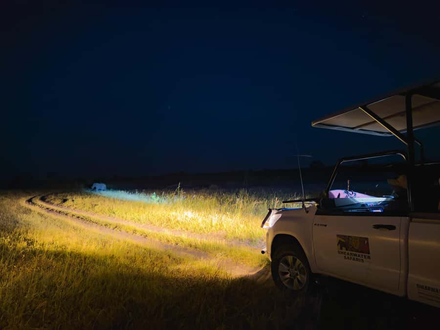Victoria Falls: Night Game Drive Zambezi National Park - Guide and vehicle reality check: the biggest variable is spotting