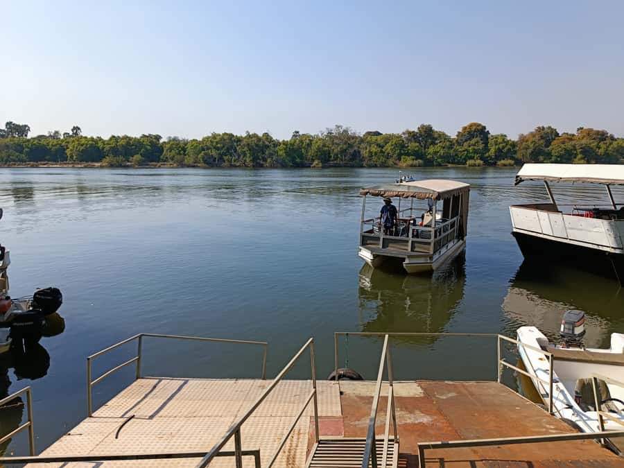 Victoria Falls: Private Zambezi River Birdwatching Safari - Hippos, crocodiles, and river mammals up close