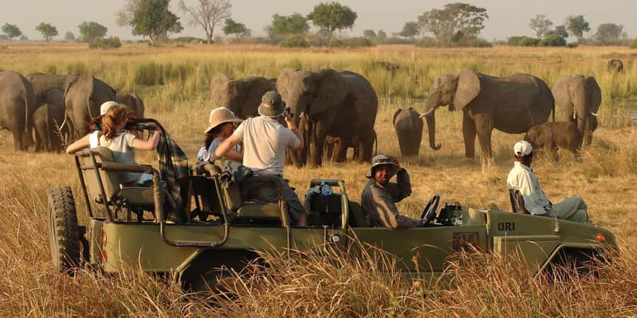 Victoria Falls Safari with Lunch and Sunset Cruise - Lunch at Lookout Café, 120 meters above the Zambezi rapids