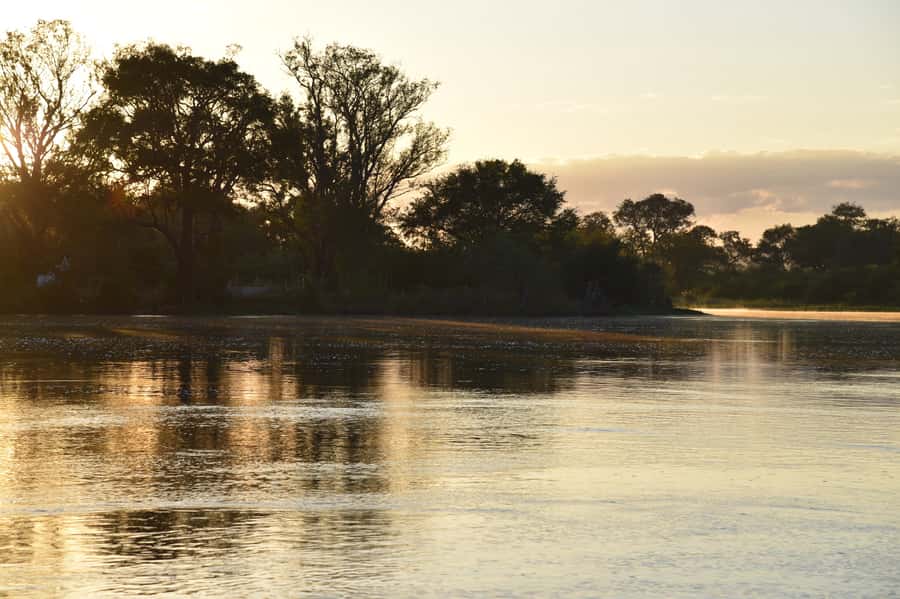Victoria Falls: Sunrise Cruise on the Zambezi River - Seeing the Zimbabwe and Zambia sides from the water