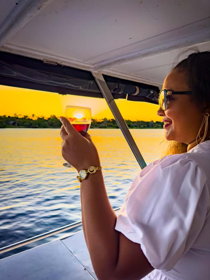 Victoria Falls: Sunset Cruise on the Zambezi River - The Wildlife Game: Hippos, Crocs, and the Big Surprises