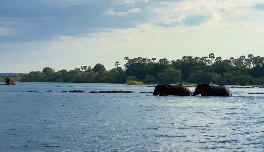 Victoria Falls: Sunset Cruise on the Zambezi River - What If Clouds Spoil the Sunset?