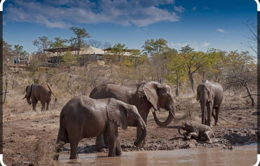 Victoria Falls: Through the eye of an elephant - Key things I’d remember after this tour