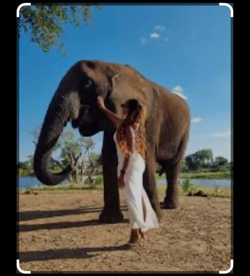 Victoria Falls: Through the eye of an elephant - Should you book Victoria Falls through the eye of an elephant?