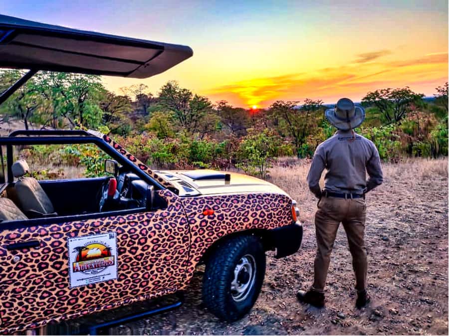 Victoria Falls: Vulture Safari and Bush Walk - The feeding itself: fast, intense, and very close