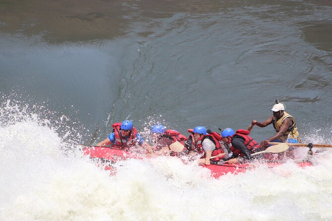 Victoria Falls: Whitewater Rafting + Chobe Safari Combo - Price and Value: Is $298 Worth It for Two Days?