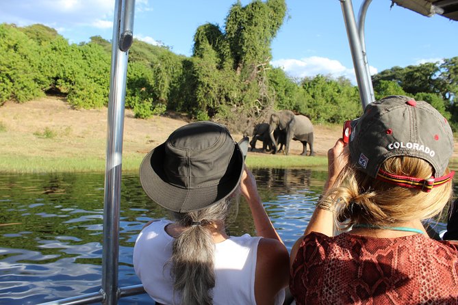 Victoria Falls: Whitewater Rafting + Chobe Safari Combo - Logistics That Actually Affect Your Day: Pickup, Start Time, and Small Groups