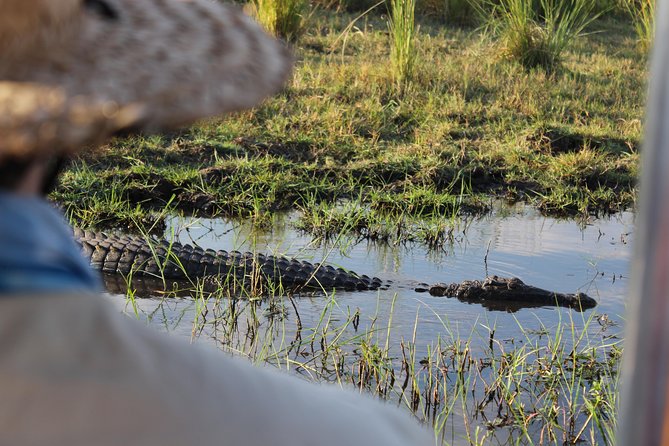 Victoria Falls: Whitewater Rafting + Chobe Safari Combo - Should You Book This Victoria Falls + Chobe Combo?
