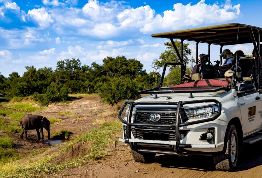 Victoria Falls: Zambezi National Park Game Drive - Key things to know before you go