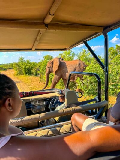 Zambezi National Park Game Drive