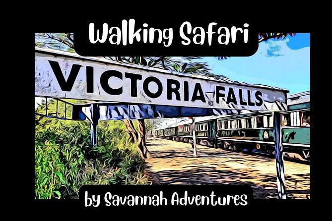 Walking Safari of Victoria Falls Town - Walking Safari of Victoria Falls Town, the smart way to start